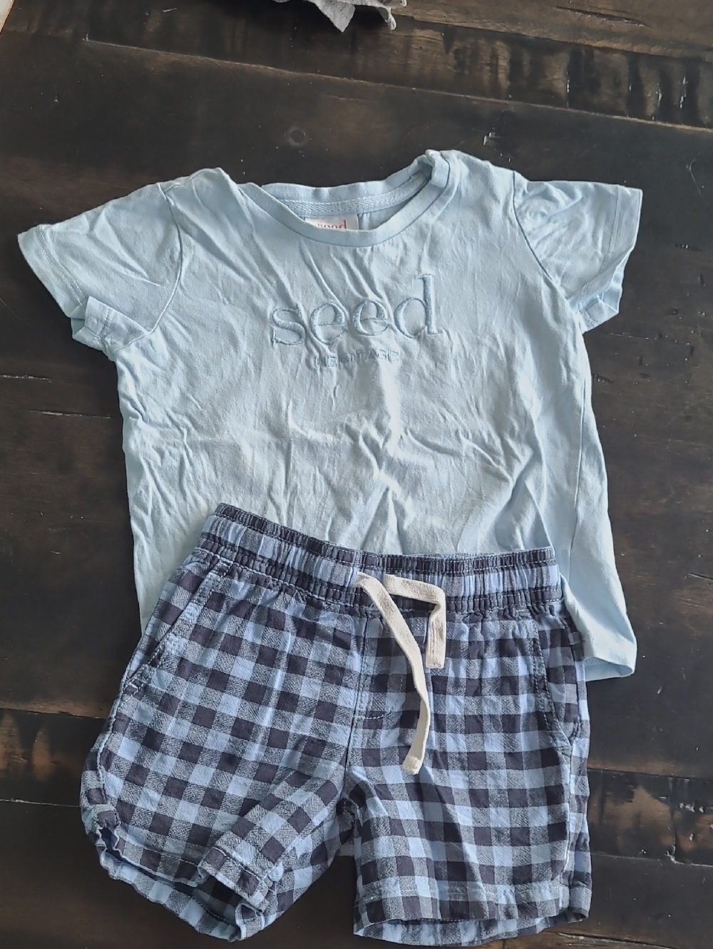 Seed Heritage Kids Tee and Navy Gingham Pull-On Shorts Set 2T